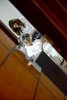 S4AGI_COM_BR (0115)